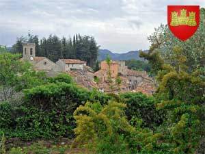 Ampus