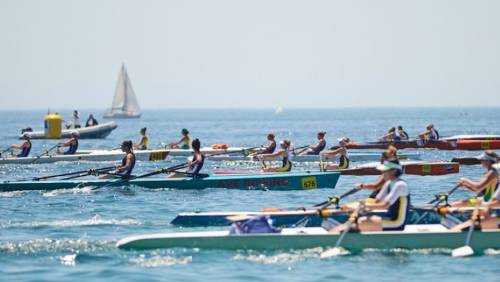 Aviron et Canoë-kayak